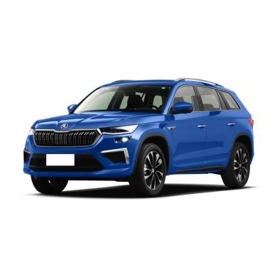 Blue Skoda SUV.