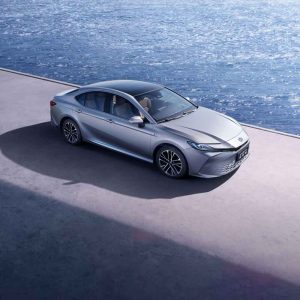 A silver sedan parked by the sea.