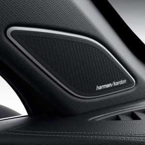 VW-All-New-Tayron-L-2025-300TSI-2WD-Elite-Harman-Kardon-speakers Close - up of a Harman/Kardon car speaker.