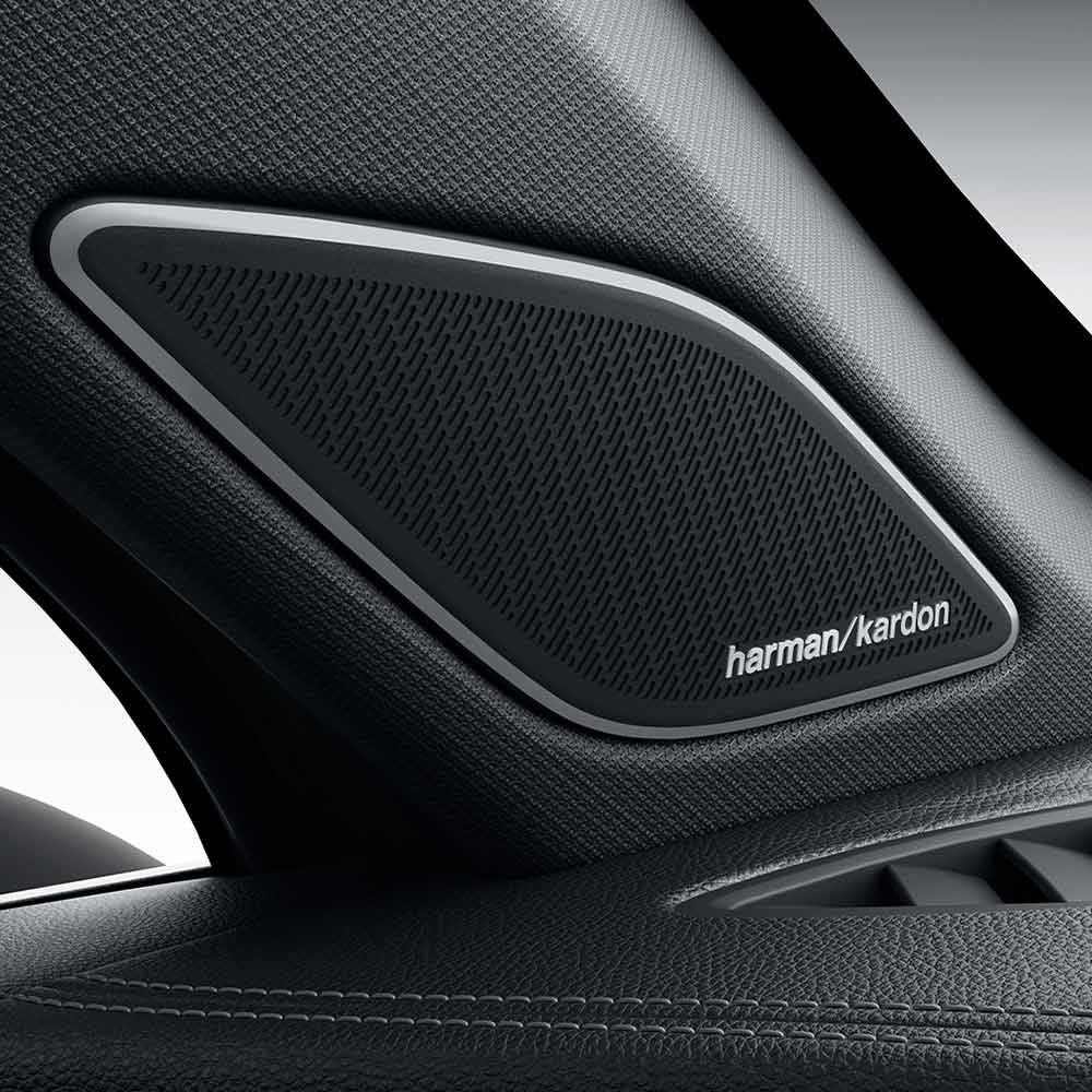 VW-All-New-Tayron-L-2025-300TSI-2WD-Elite-Harman-Kardon-speakers Close - up of a Harman/Kardon car speaker.