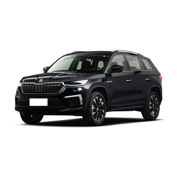 Blue Skoda SUV.