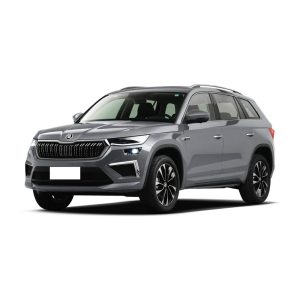 SKODA KODIAQ 2025 TSI330 5-Seater FWD Luxury Edition Stellar Silver Silver Skoda SUV.