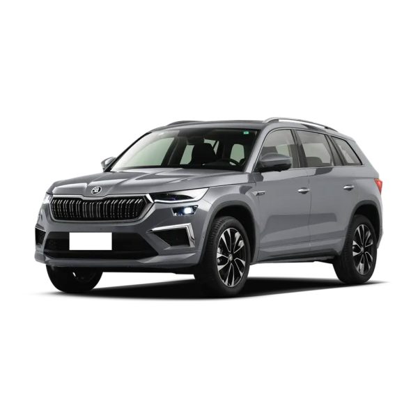 Silver Skoda SUV.