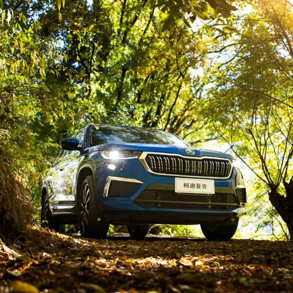 A blue Skoda Kodiaq SUV driving on a forest path with sunlight filtering through the trees.