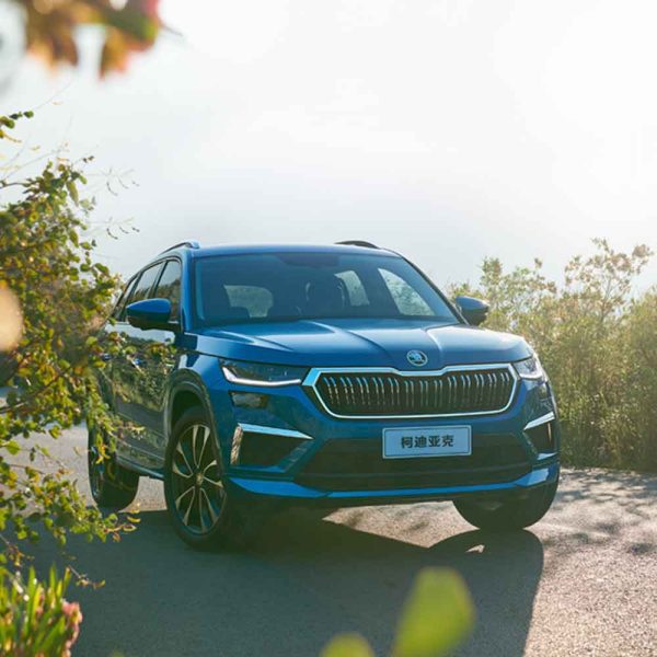 A blue Skoda Kodiaq SUV parked on a road amidst vegetation under a bright sky.
