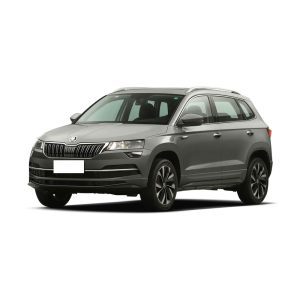 A gray Skoda SUV against a white background.