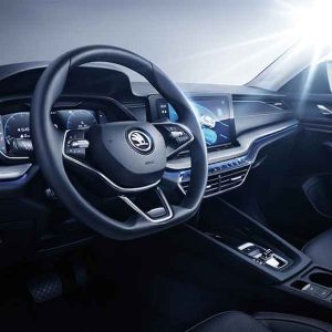 Skoda Octavia PRO 2025 TSI280 Luxury Edition steering wheel