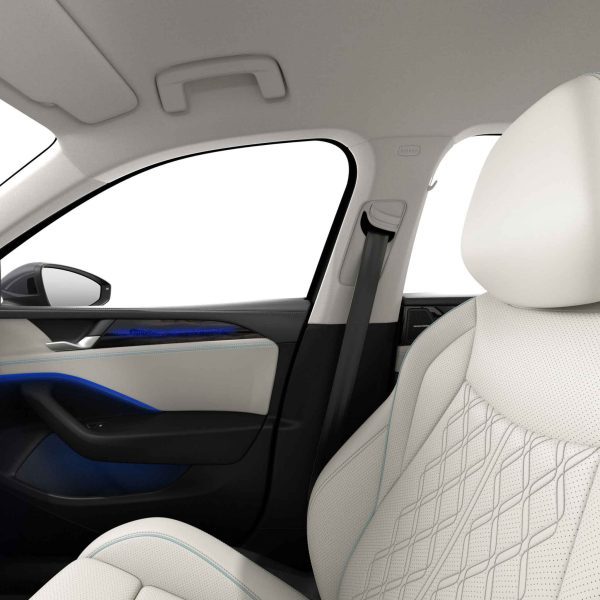 Volkswagen Magotan 2025 300TSI DSG Premium Edition B-Pillar right