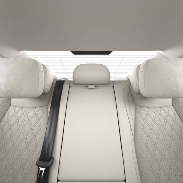 Volkswagen Magotan 2025 300TSI DSG Premium Edition rear recliner
